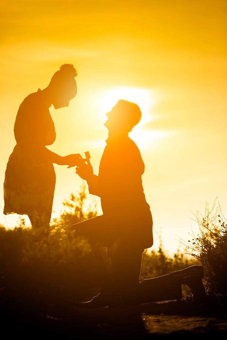 Diverse Couple Engagement Silhouettes at Sunset